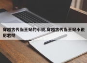 穿越古代当王妃的小说,穿越古代当王妃小说厉君彻